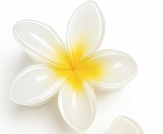 🎁 FLOWER CLIP (100% off)